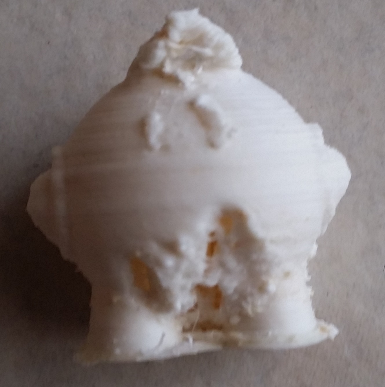 20150517_143734-cut 20150517_143734-cut
